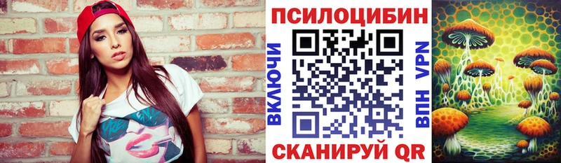 kraken рабочий сайт  Любим  Галлюциногенные грибы Psilocybine cubensis 